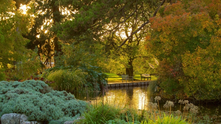 Vườn bách thảo - ốc đảo thơ mộng nằm giữa khuôn viên Đại học Cambridge