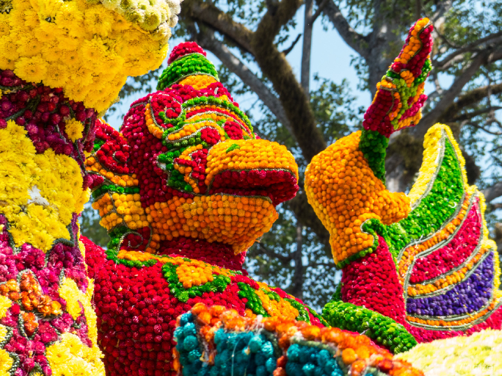 Lễ hội hoa Chiang Mai diễn ra hàng năm