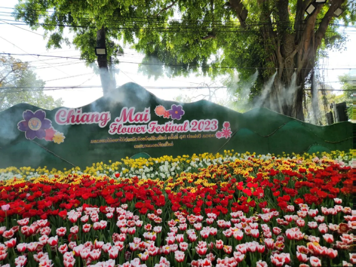Lễ hội hoa Chiang Mai 2023, Thái Lan
