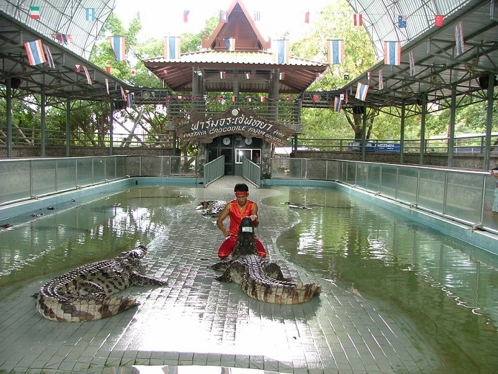 Công viên Đá Triệu năm & Trang trại Cá Sấu - Điểm đến lý tưởng cho những gia đình có con nhỏ