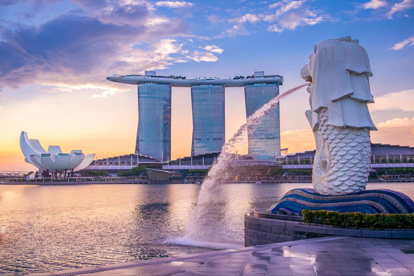 Vận Chuyển Trái Cây Khô từ Đồng Nai đến Singapore