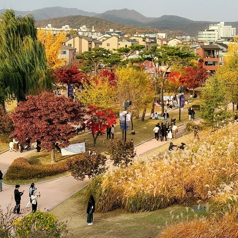 TOUR SEOUL – NAMI: KHUNG TRỜI MÙA THU
