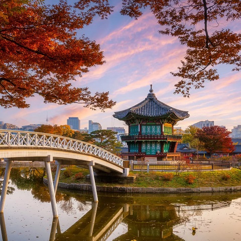 TOUR BUSAN – GYEONGJU: MÙA VÀNG CỐ ĐÔ