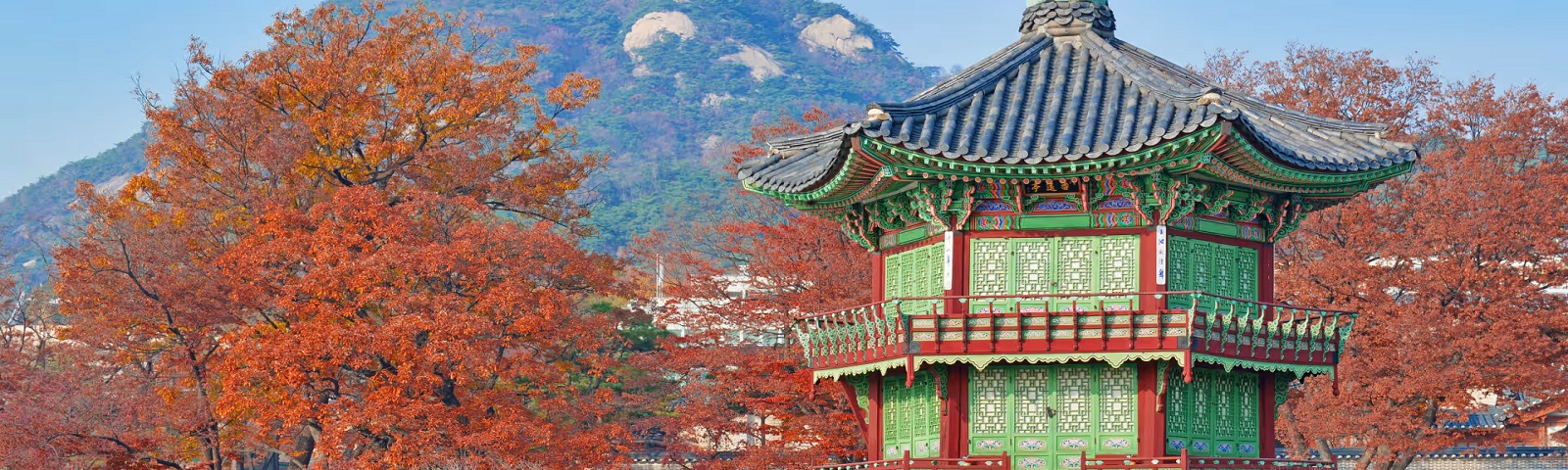 TOUR BUSAN – GYEONGJU: MÙA VÀNG CỐ ĐÔ
