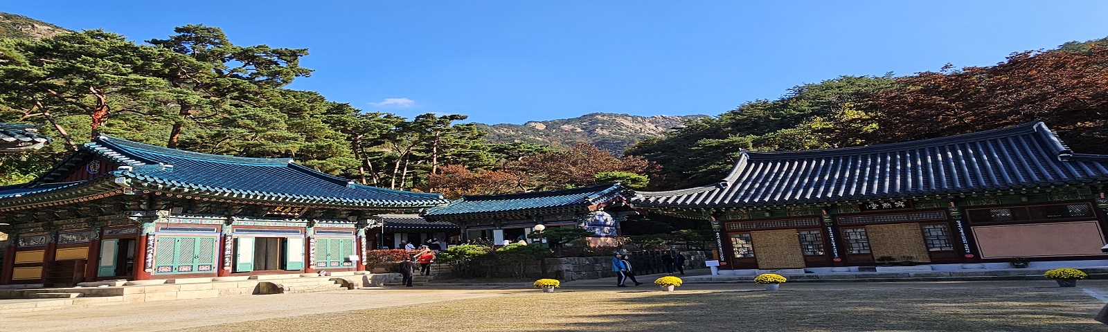 TOUR SEOUL – NAMI: DƯỚI TÁN HOA MỘC LAN