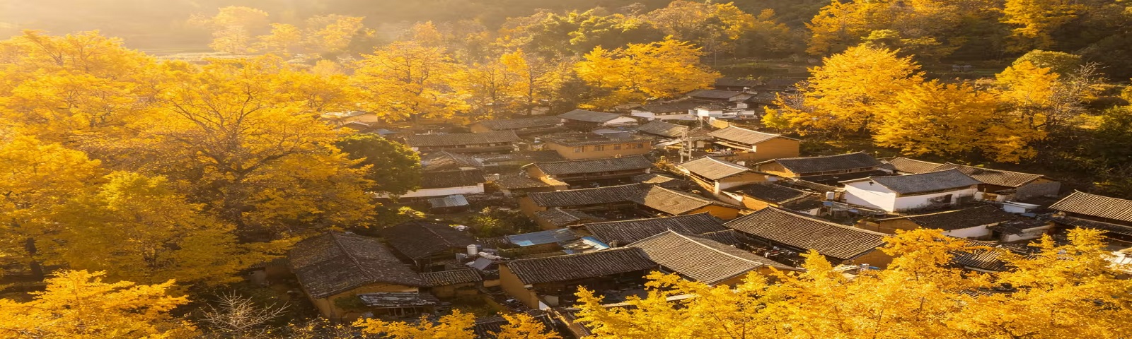 TOUR ĐẠI LÝ - ĐẰNG XUNG: MÙA THU VÀNG VÂN NAM