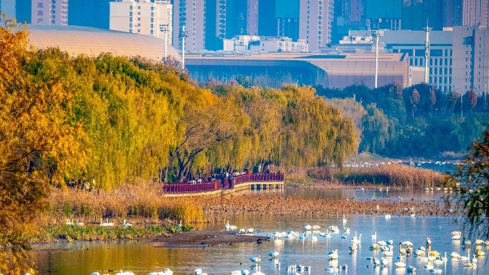 Tam M&ocirc;n Hiệp