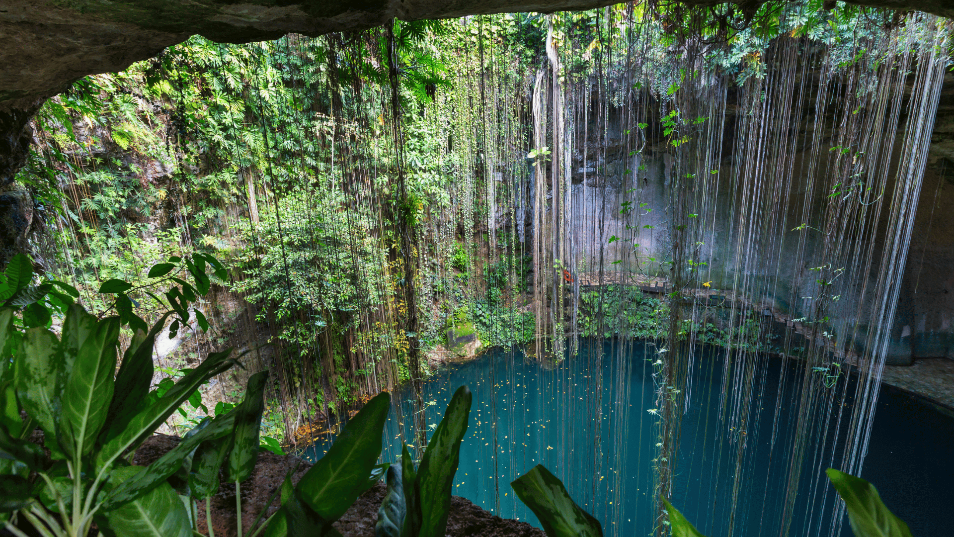 Cenote Blue Hole