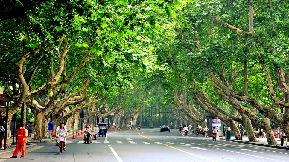 Đại lộ Nam Sơn