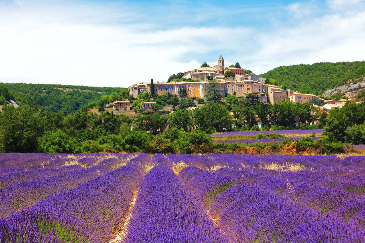 Provence - Vườn hoa Lavender và quê hương của nghệ thuật