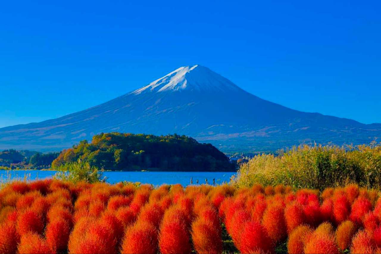 Khu du lịch Oishi Park - Vườn hoa m&ecirc; đắm