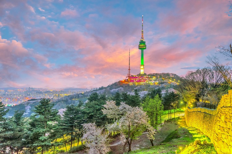 Say lòng mùa vàng ở tháp Namsan Seoul