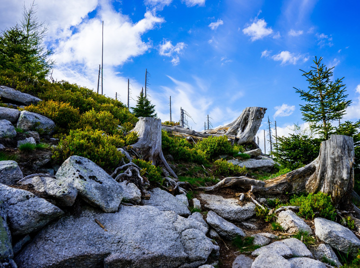 Công viên Quốc gia Šumava