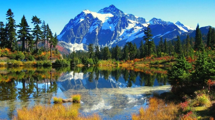Khám phá Vườn Quốc gia Thụy Sĩ - Tự nhiên hoàn hảo tại dãy núi Alps