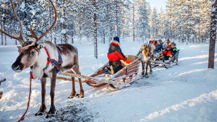 Hành trình đến thiên đường mùa đông tại Lapland 