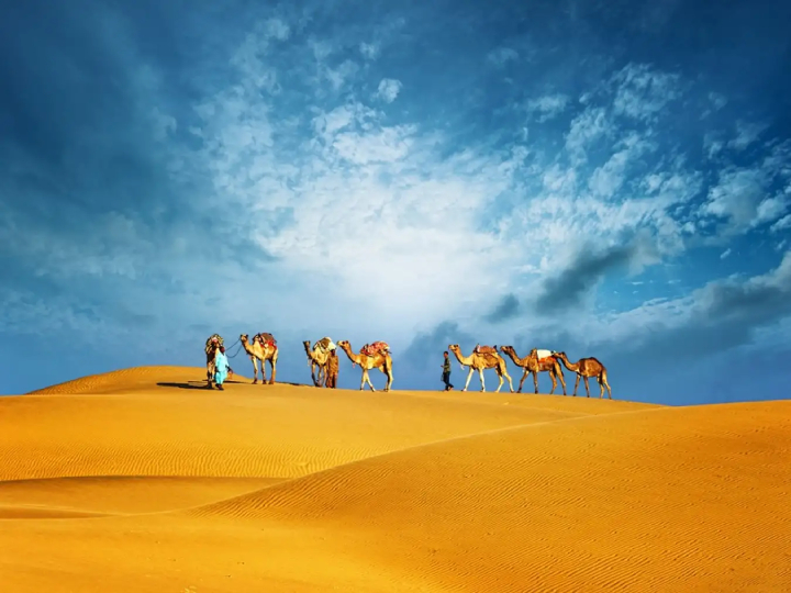 Sa mạc Safari ở Dubai