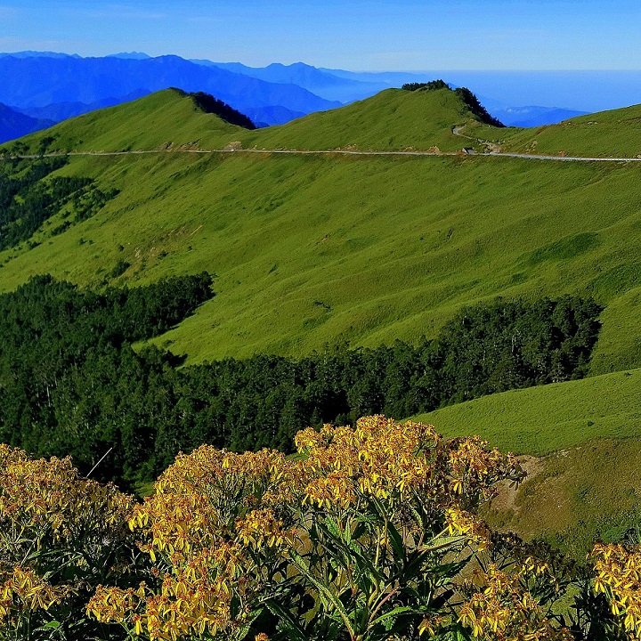 Khu giải trí rừng Quốc gia Dasyueshan rộng đến gần 4000 ha 