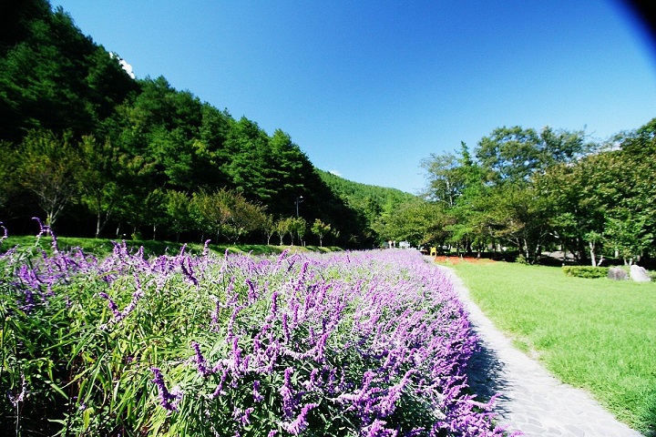 Cách đi đến Khu giải trí rừng Quốc gia Dasyueshan