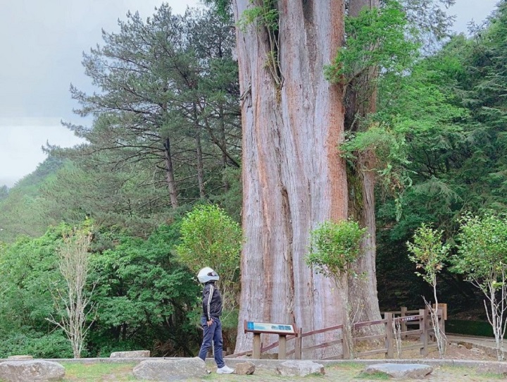  Hồ Sky (Tianchih) và cây khổng lồ Xueshan