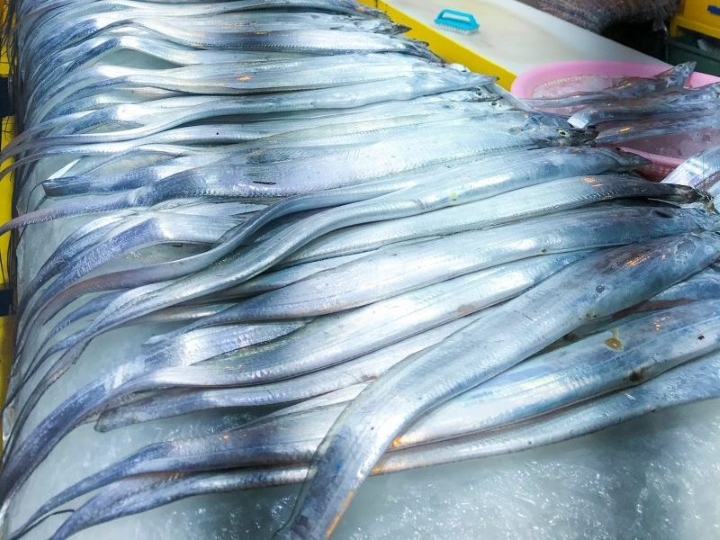 Cá thu đao ở chợ Jeju