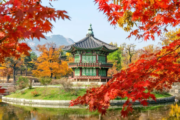 Khu vườn bí mật ở Cung điện Changdeokgung