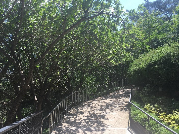 Đôi nét về công viên Apsan Daegu 