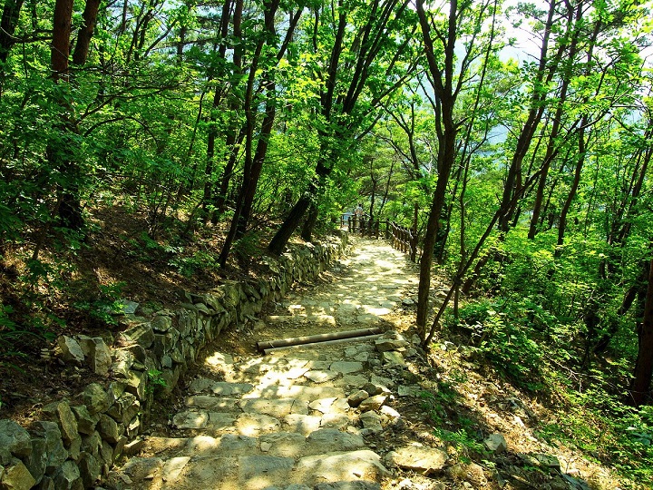 Dạo quanh Công viên Apsan và tận hưởng vẻ đẹp thiên nhiên nơi đây 