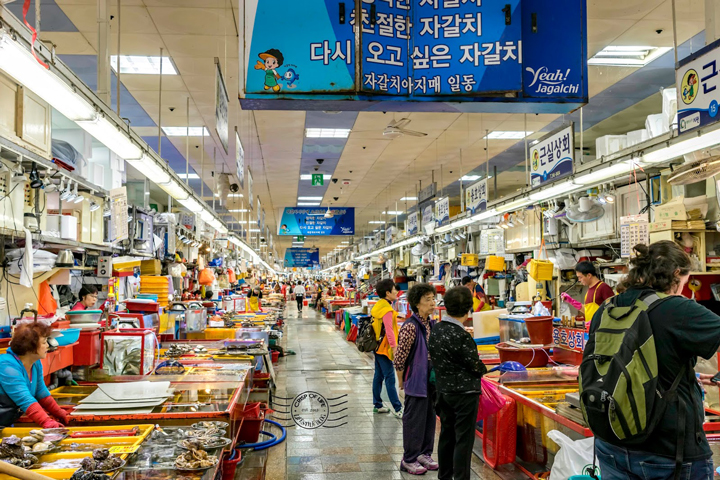 Chợ hải sản Jagalchi ở thành phố cảng Busan