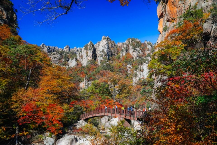 Khung cảnh thiên nhiên mùa xuân tại núi Seoraksan