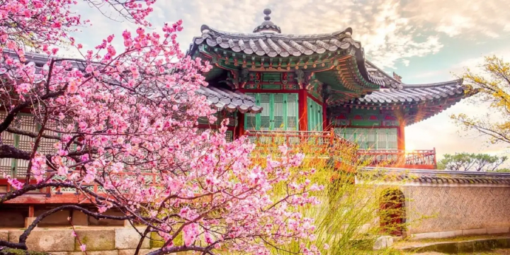  Một trong những cung điện tráng lệ nhất Hàn Quốc