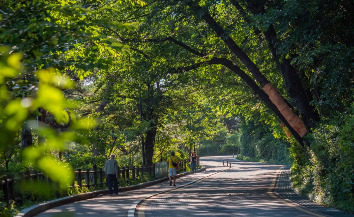 Đường đi bộ trên Namsan