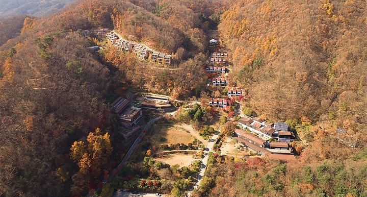 Tại Hàn Quốc, thói quen tắm rừng không chỉ là một xu hướng thoáng qua mà còn là một nhu cầu