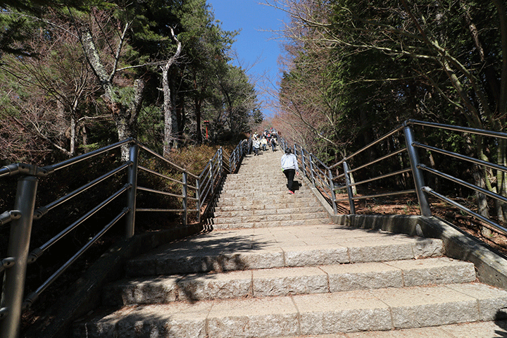 Những bậc thang dẫn lên chùa Chureito