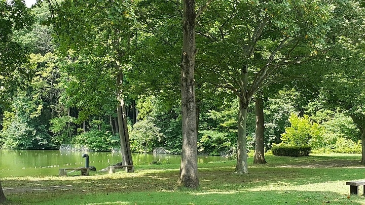 Igashira Park: Thiên đàng cho những người yêu chim