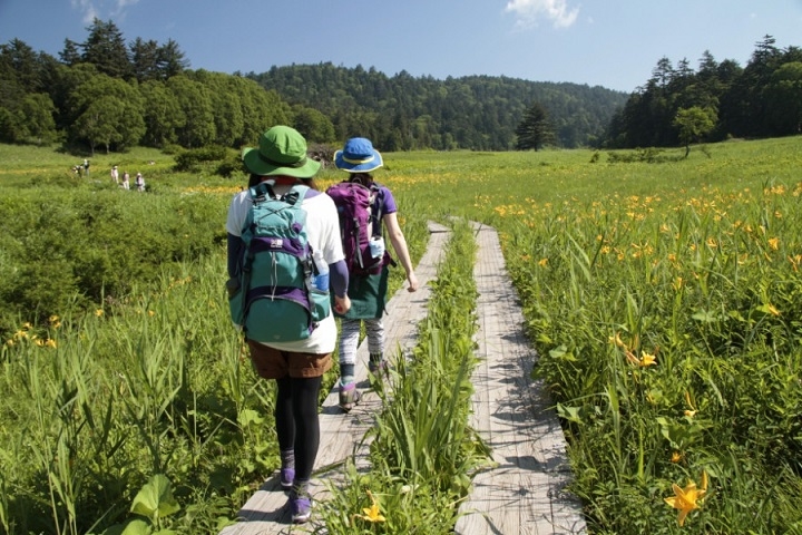 Công viên Quốc gia Oze: Khu du lịch tuyệt vời cho những người yêu trekking