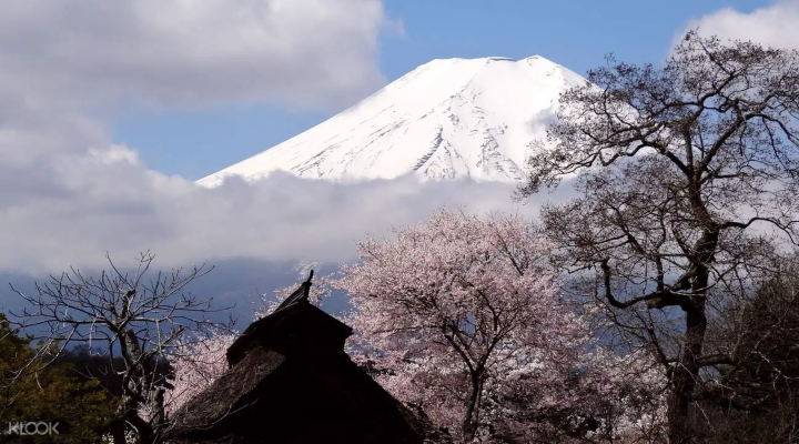 Là địa điểm ngắm núi Phú Sĩ đẹp nhất tại Nhật Bản