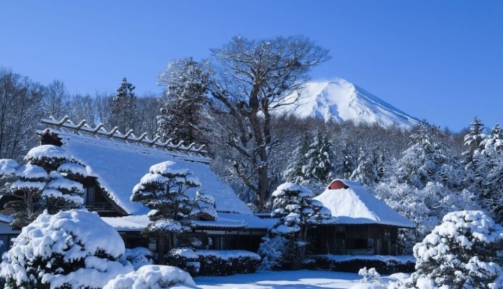 Khung cảnh tựa xứ sở thần tiên mùa đông ở làng Oshino Hakkai