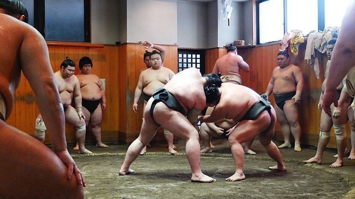 Một hột sumo đang luyện tập vào buổi sáng