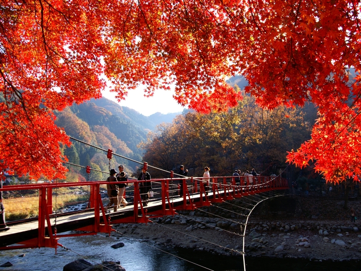 Say đắm trước vẻ đẹp như tranh của thung lũng Korankei