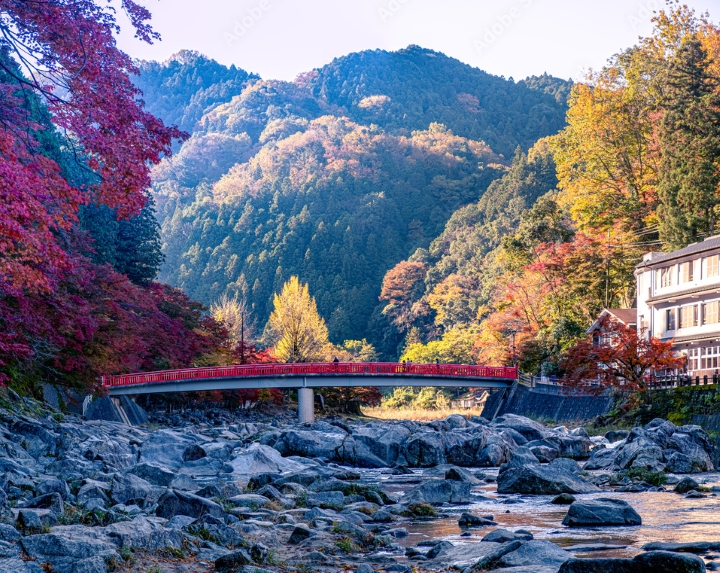 Chiêm ngưỡng con đường hầm cây đỏ rực