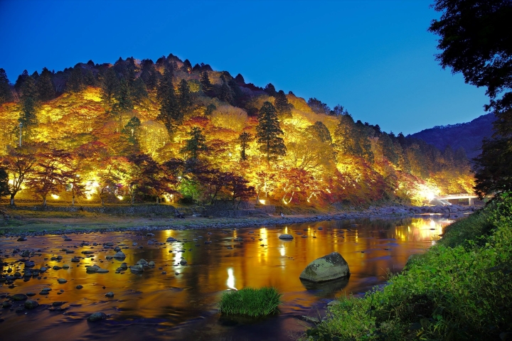 Con đường hầm cây phong Korankei về đêm