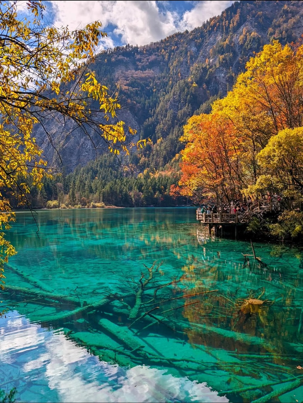 Cửu Trại C&acirc;u - một trong những điểm đến m&ugrave;a thu tuyệt sắc