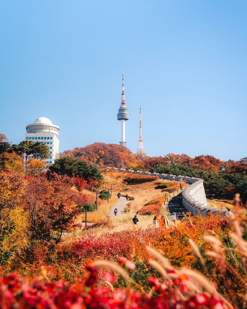"Bản t&igrave;nh ca" m&ugrave;a thu l&atilde;ng mạn tại xứ sở kim chi