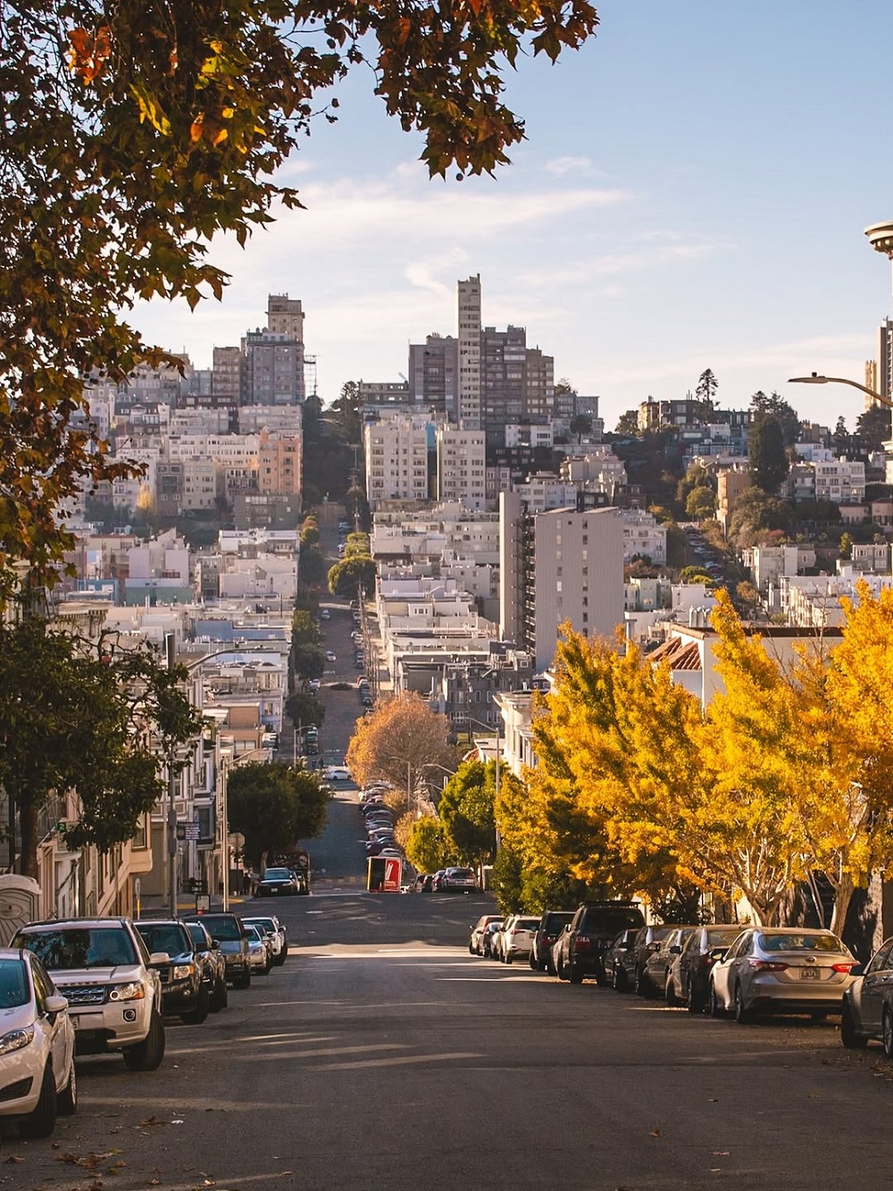 Vẻ đẹp mùa thu xứ Cờ Hoa