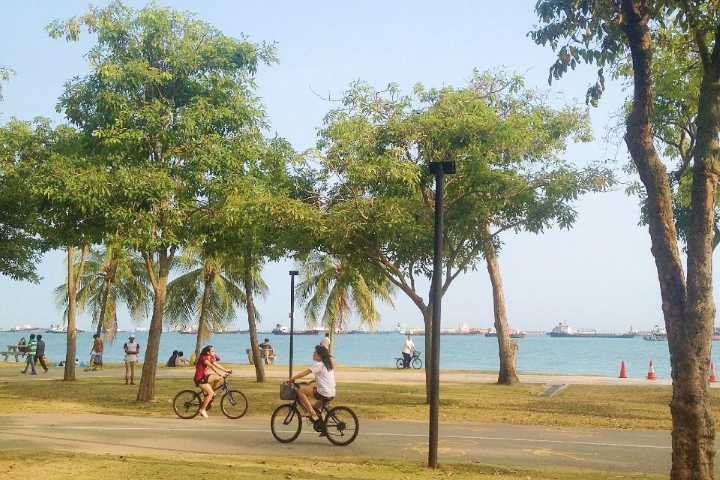  Đạp xe quanh công viên bãi biển tuyệt đẹp