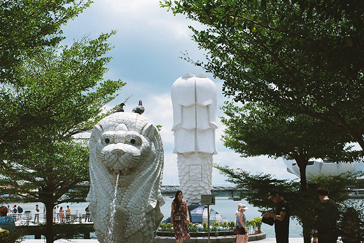 Bức tượng sư tử biển Merlion - biểu tượng của Singapore