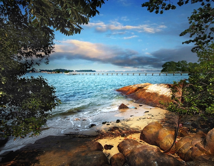 Thả mình vào thiên nhiên ở Pulau Ubin