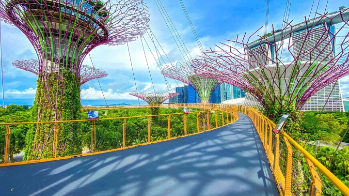 Ngắm nhìn toàn bộ khung cảnh Gardens by the Bay tại OCBC Skyway