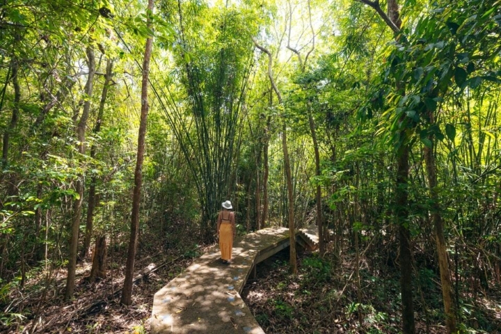 Tận hưởng khung cảnh thiên nhiên yên tĩnh xung quanh Khlong Thom