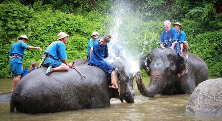 Du khách vui vẻ trên lưng những chú voi tại khu bảo tồn voi Thái Lan